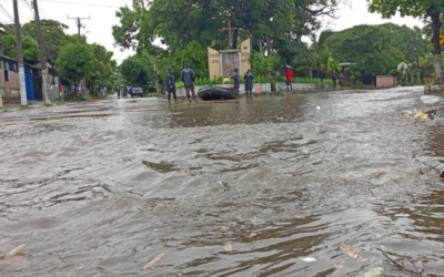 Árboles caídos y calles inundadas tras fuertes lluvias en el país