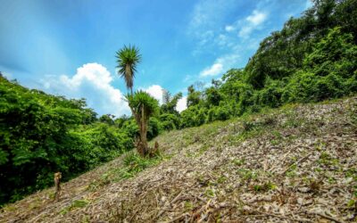 Incrementan casos de usurpación ilegal de terrenos privados en El Salvador