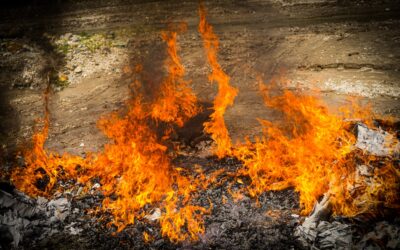 FGR destruye droga valorada en más de $84 mil