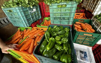 Gobierno confirma que no hay problema de abastecimiento en mercados