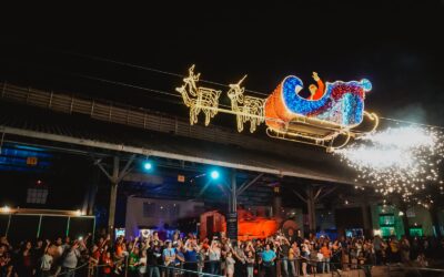 Miles de salvadoreños disfrutaron de Navidad CIFCO