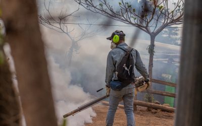 Alcaldía de La Libertad Este realiza jornada de fumigación en San Juan Buenavista
