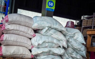 Precio del frijol bajará gracias a la buena producción