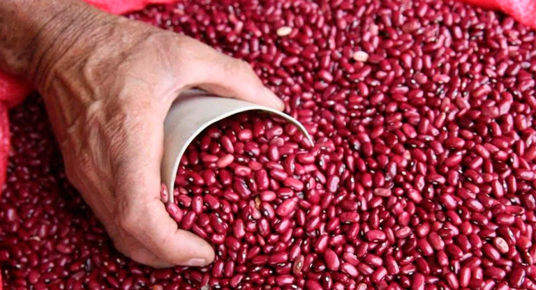 MAG verifica precios en la comercialización del frijol
