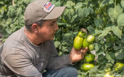 FAO se suma a la iniciativa del Gobierno a favor de la seguridad alimentaria