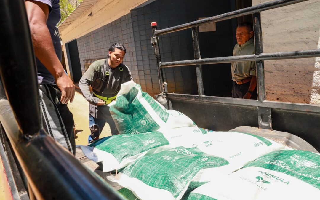 MAG ofrece insumos agrícolas al costo en 16 sucursales