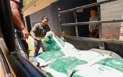 MAG ofrece insumos agrícolas al costo en 16 sucursales